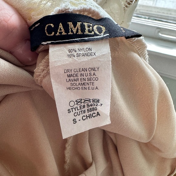 Cameo Nude Lace Dress - Picture 8 of 9